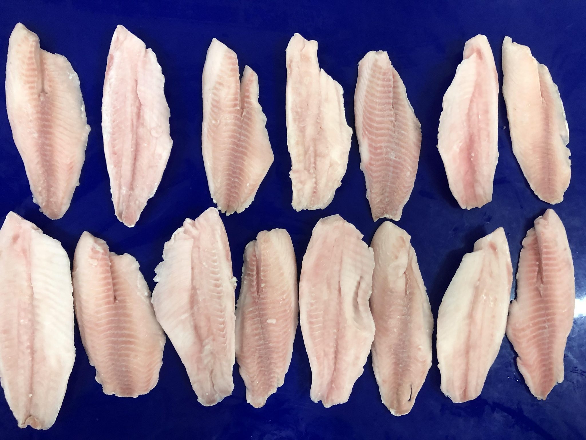 Black tilapia Zahra JSC